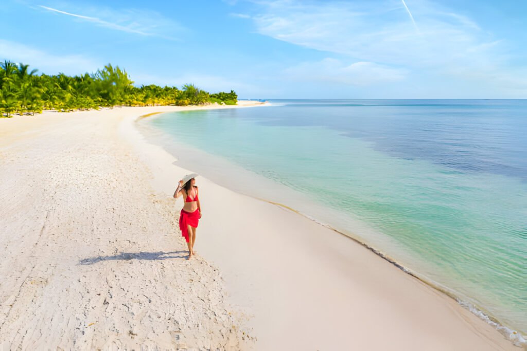 Digital Nomads in Mexico collaborating in a vibrant co-working space with colorful décor and traditional Mexican artwork.